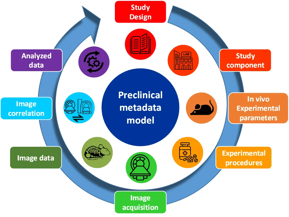 prism metadata model